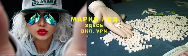 ешки Белокуриха