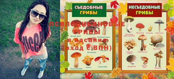 метадон Богданович