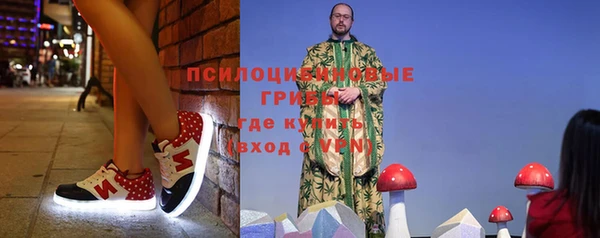 винт Богородицк