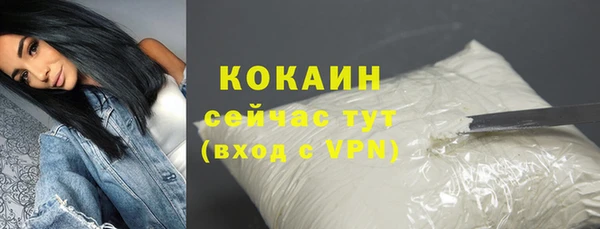 прущие грибы Беломорск