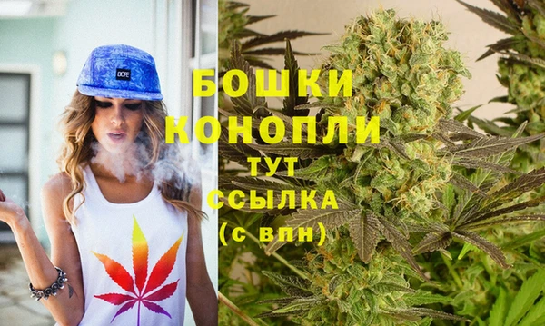 гидра Белоозёрский