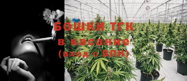 прущие грибы Беломорск
