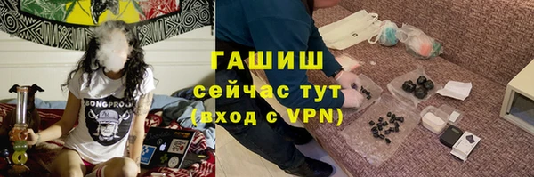 прущие грибы Беломорск
