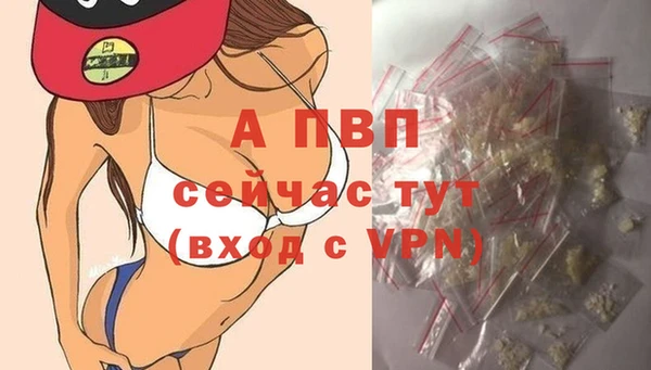 ешки Белокуриха