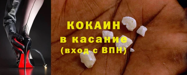 прущие грибы Беломорск