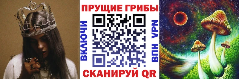 Псилоцибиновые грибы Magic Shrooms  купить   ОМГ ОМГ   Болохово 